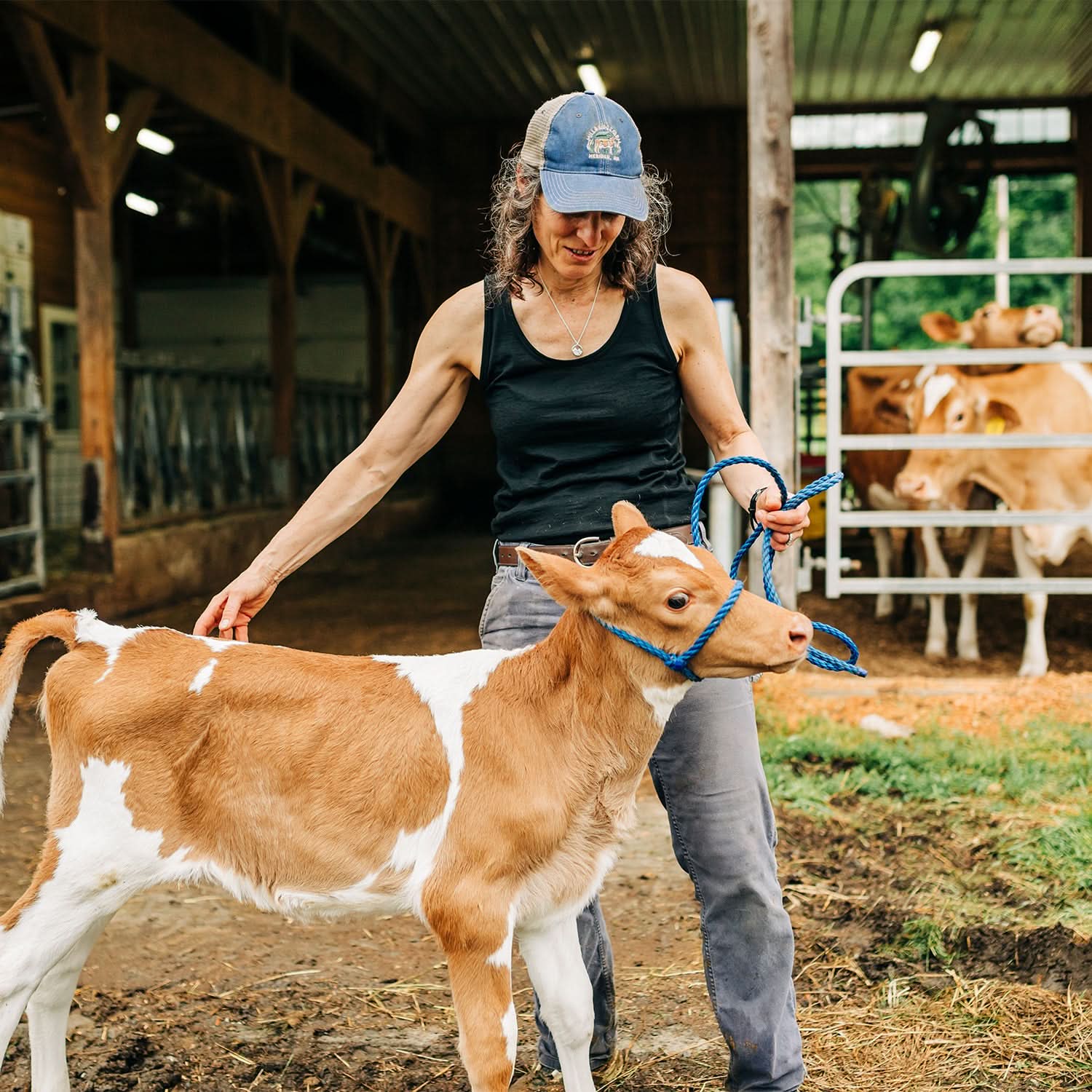 lightweight-tank-calf.jpg