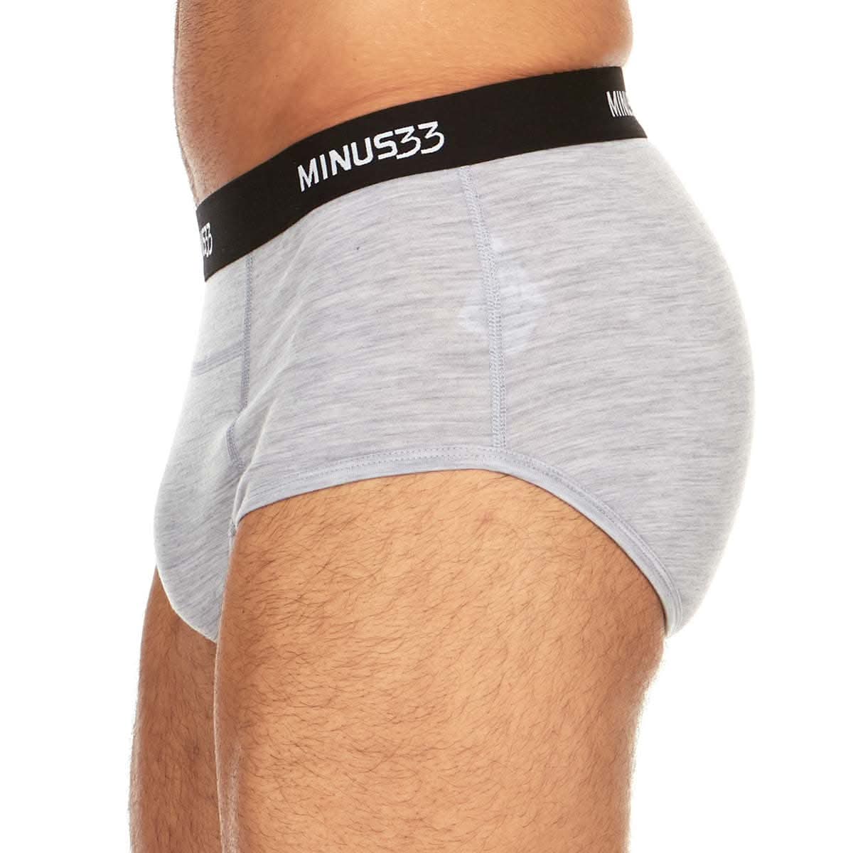 merino-micro-woolverino-boxer-briefs1113AG-AOI-side-zoom.jpg